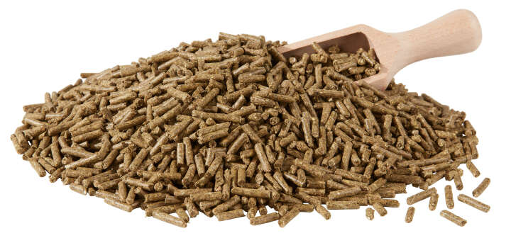 BERKEL FUTTER Schau-Kanin